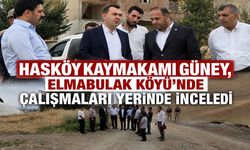 Hasköy Kaymakamı Güney’den Elmabulak Köyü’ne yatırım incelemesi
