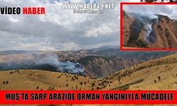 Muş’ta rüzgârın etkisiyle büyüyen orman yangınına zorlu müdahale