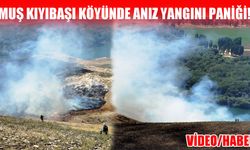 Muş’ta anız yangını: İki belediye seferber oldu