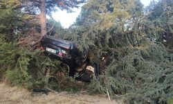 Elazığ’da otomobil ağaca çarptı: 1 yaralı