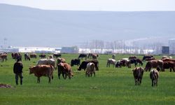 Tarımda üreticilere destekleme çağrısı
