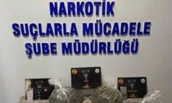 Bingöl’de 43 şüpheli yakalandı