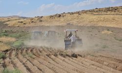 Adilcevaz'da buğday ekim sezonu başladı