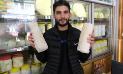 Norveç'ten gelen koyun derileri Erzincan'da peynir tulumuna dönüşüyor
