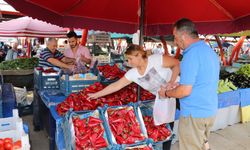 Erzincan’da salçalık domates ve kapya biber tezgahlarda yerini aldı