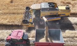 Erzincan’da sulama suları tarlaları bereketle buluşturuyor