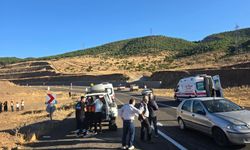 Bingöl’de kamyonet şarampole devrildi: 3 yaralı