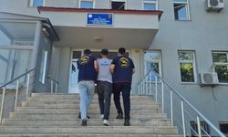 Bingöl’de 5 bin 176 kök kenevir ele geçirildi