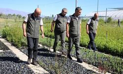 Erzincan Fidanlık Şefliğinde fidan üretim çalışmaları incelendi