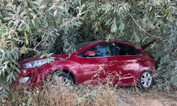 Malatya’da otomobil şarampole devrildi: 1 yaralı