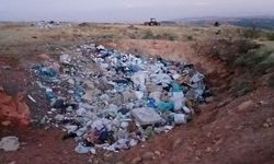 İki köyün sınırındaki çöplük hayvanların kabusu oldu