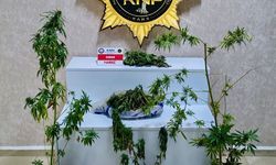 Kars’ta uyuşturucu operasyonu: 272 gram esrar ele geçirildi
