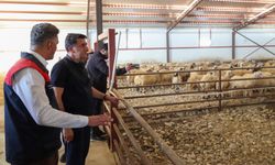 Tunceli’de kırsal kalkınma destekleri üretime katkı sağlıyor