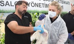Elazığ’da kuş gribine karşı saha tatbikatı gerçekleştirildi