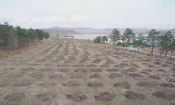 Kars’ta "Yeşil Vatan" için kurumlar güçlerini birleştirdi