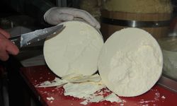 Erzincan Tulum Peyniri toz forma dönüştürülüyor