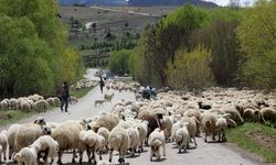 Erzincan’da yaylacılar, 5 aylık sezonun ardından dönüş yolculuğuna başladı