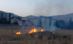 Yüksekova’da anız yangını