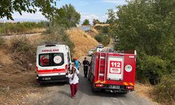 Bingöl’de minibüs ağaca çarptı: 3 yaralı