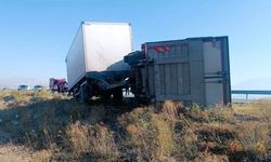 Iğdır’da yola çıkan eşek kazaya neden oldu: 2 yaralı