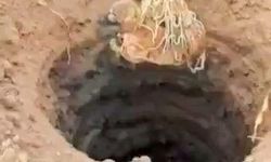 Çukurda mahsur kalan köpek, AFAD tarafından kurtarıldı