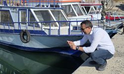 Yavru inci kefalleri Van Gölü'ne ulaştı