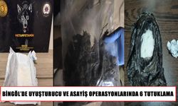 Bingöl’de bir haftalık operasyon: 6 şüpheli tutuklandı