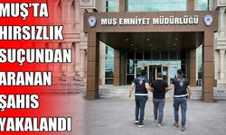Muş’ta 4 yıl 9 ay hapis cezasıyla aranan şahıs yakalandı