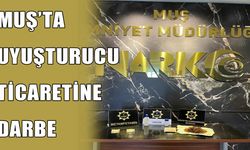 Muş’ta sokak torbacılarına şafak baskını: Çok sayıda uyuşturucu ele geçirildi