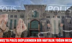Muş Emniyeti’nin bir haftalık bilançosu: Binlerce sorgu, çok sayıda operasyon