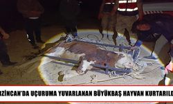 Erzincan’da uçuruma yuvarlanan hayvan için ekipler seferber oldu