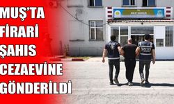 Muş’ta 4 yıl 2 ay hapis cezasıyla aranan şahıs yakalandı