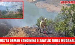 Muş’ta orman yangını 6 saatlik müdahalenin ardından söndürüldü
