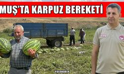 Muş’ta karpuz bereketi: 230 bin ton üretim, 2 milyar TL gelir hedefleniyor
