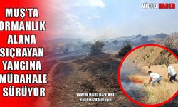 Muş’ta anız yangını ormana sıçradı: Çevre illerden takviye istendi