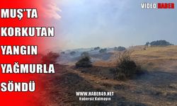 Muş’ta ormana sıçrayan anız yangını kontrol altında