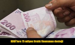 KOSGEB’den KOBİ’lere 75 milyon liraya kadar kredi desteği