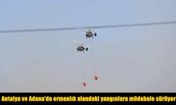 Antalya ve Adana’da orman yangınlarıyla mücadele sürüyor