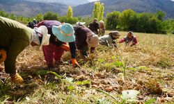 Erzincan’a 169,6 milyon liralık tarımsal hibe desteği