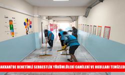 Denetimli serbestlik yükümlüleri Hakkari’de cami ve okulları temizledi