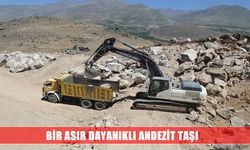 Bir asır dayanıyor, Erzincan sokaklarını süslüyor