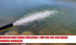 Erzincan’ın baraj göllerine milyonlarca sazan yavrusu bırakıldı