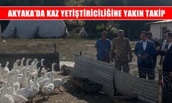 Kaz yetiştiriciliğinin durumu yerinde değerlendirildi