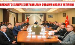 Hakkâri’de sahipsiz hayvanlar için atılacak adımlar değerlendirildi