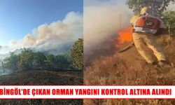 Bingöl’de ormanlık alanda çıkan yangın söndürüldü