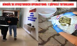 Bingöl’de uyuşturucu madde ticaretine operasyon: 1 tutuklama