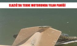 Kalecik Barajı’nda tekne motorundan yılan çıktı