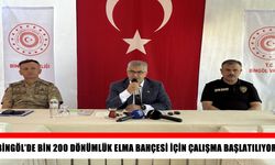 Bingöl’de 1.200 dönümlük elma bahçesi kurulacak