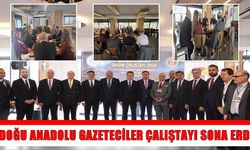 Muş’un da temsil edildiği Doğu Anadolu Gazeteciler Çalıştayı sona erdi