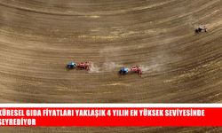 Gıda fiyatları son 4 yılın en yüksek seviyesine çıktı